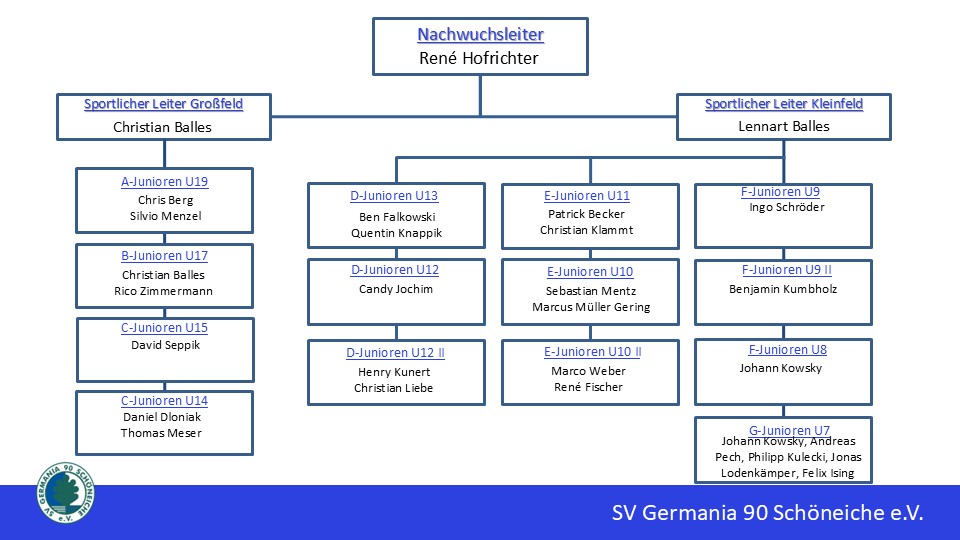 Organigramm Leitfaden